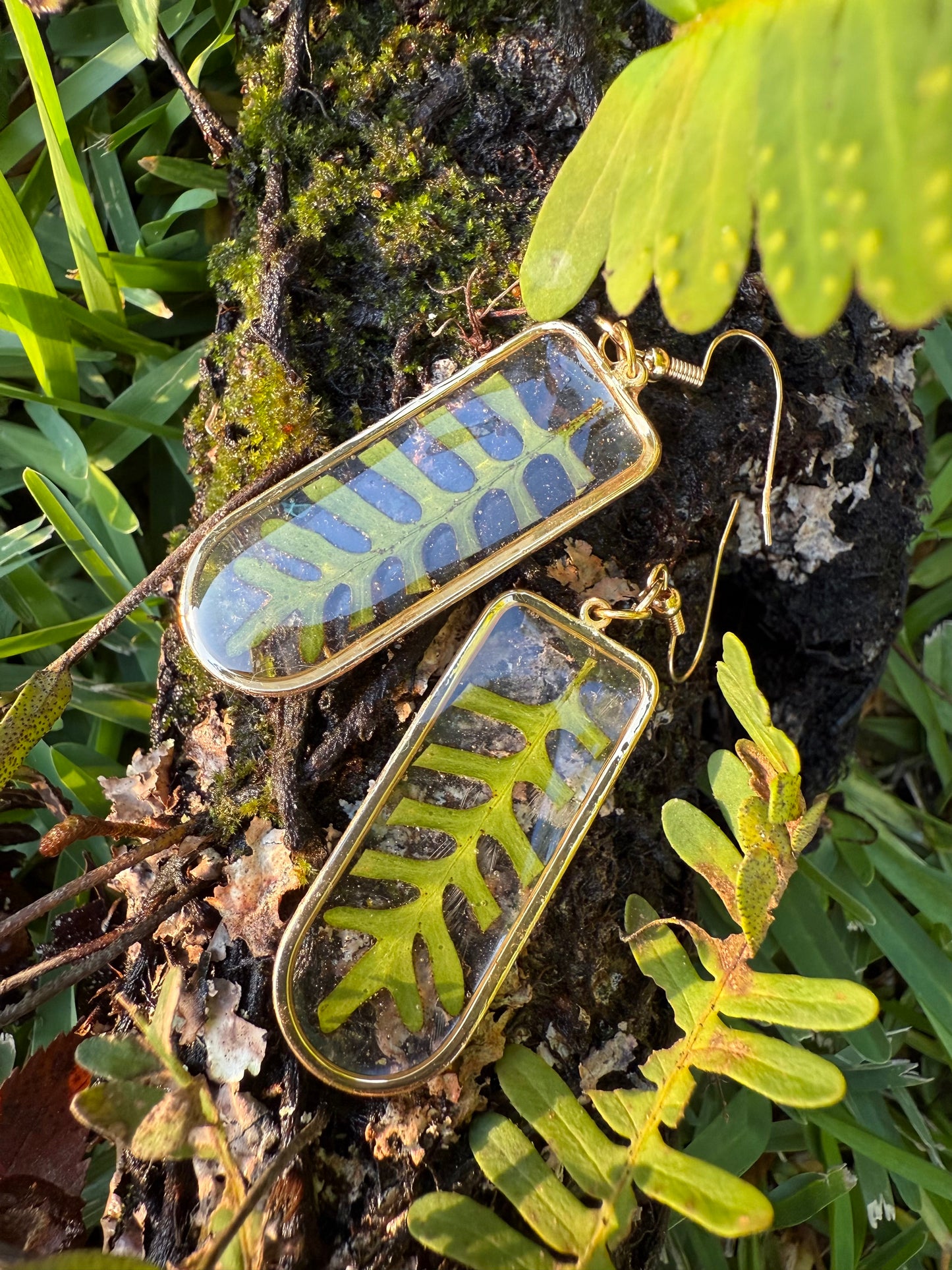 Resurrection Fern: Herbarium Earrings