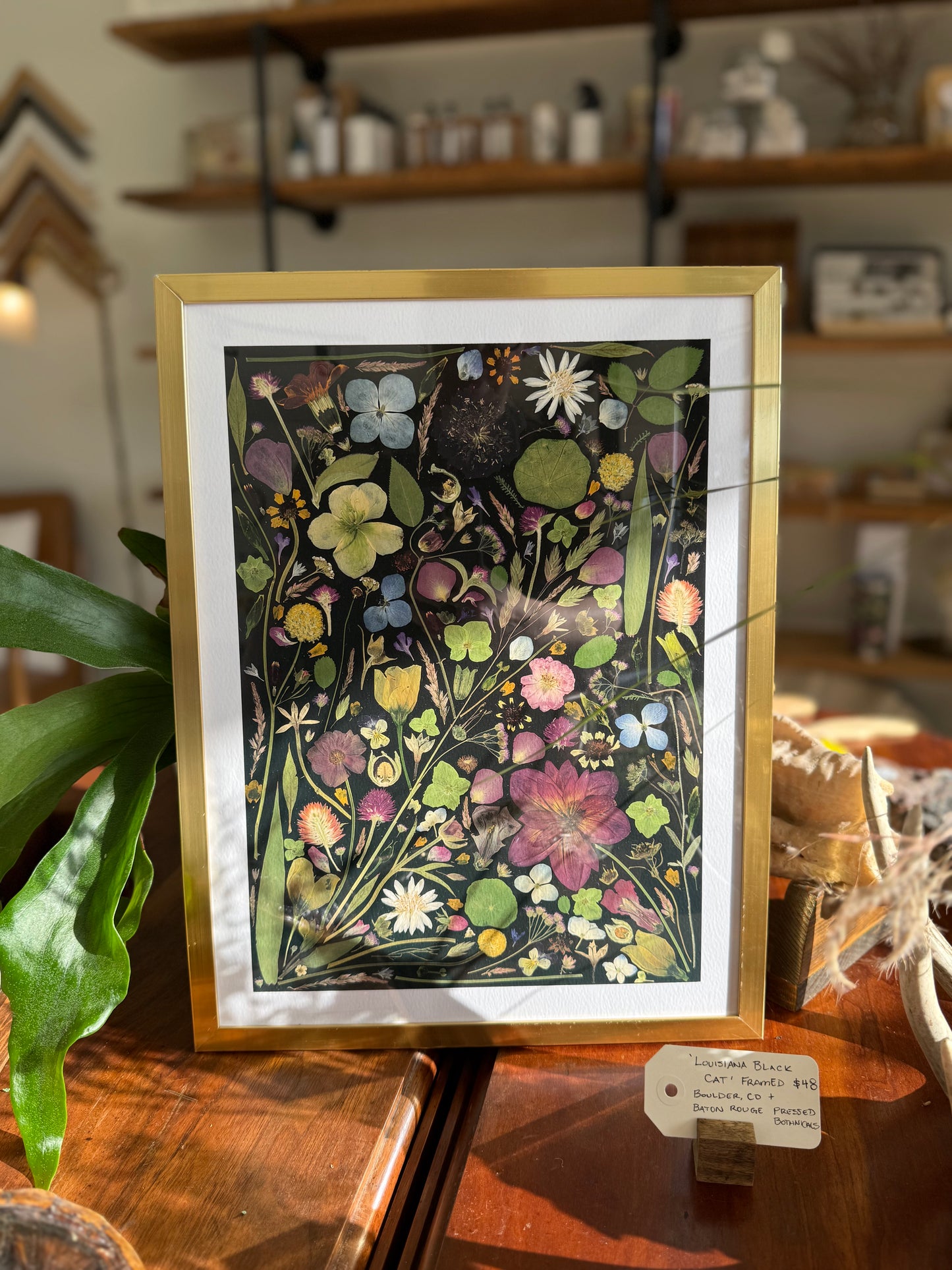 ‘Louisiana Black Cat’ framed print