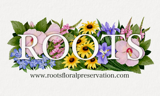 (BATON ROUGE) Drop-Off Appointment Booking