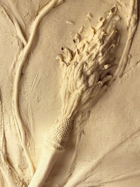 DECEMBER 4th - Botanical Bas-Relief Plate & Oyster Decoupage Ornaments