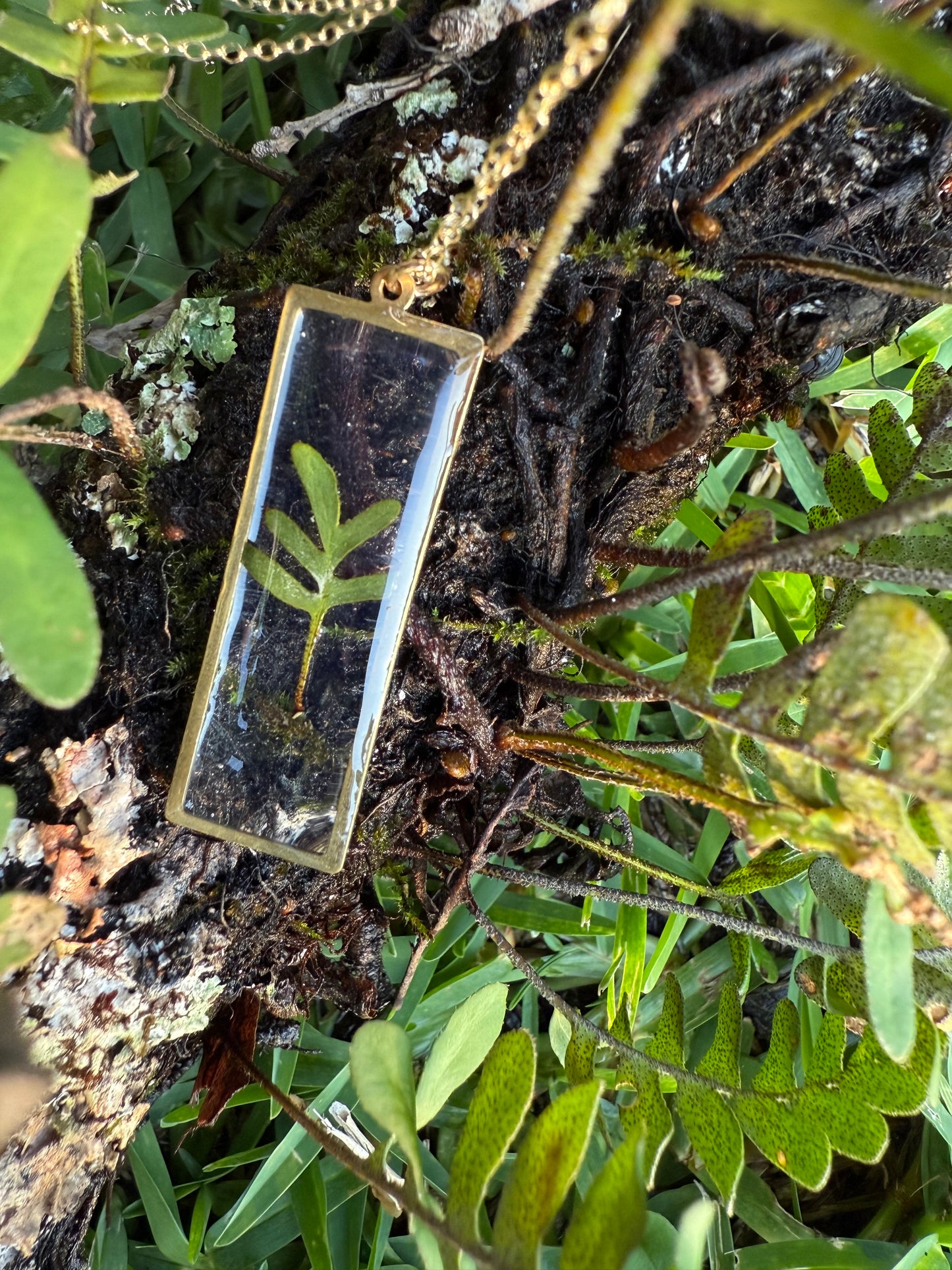 Resurrection Fern: Herbarium Necklace