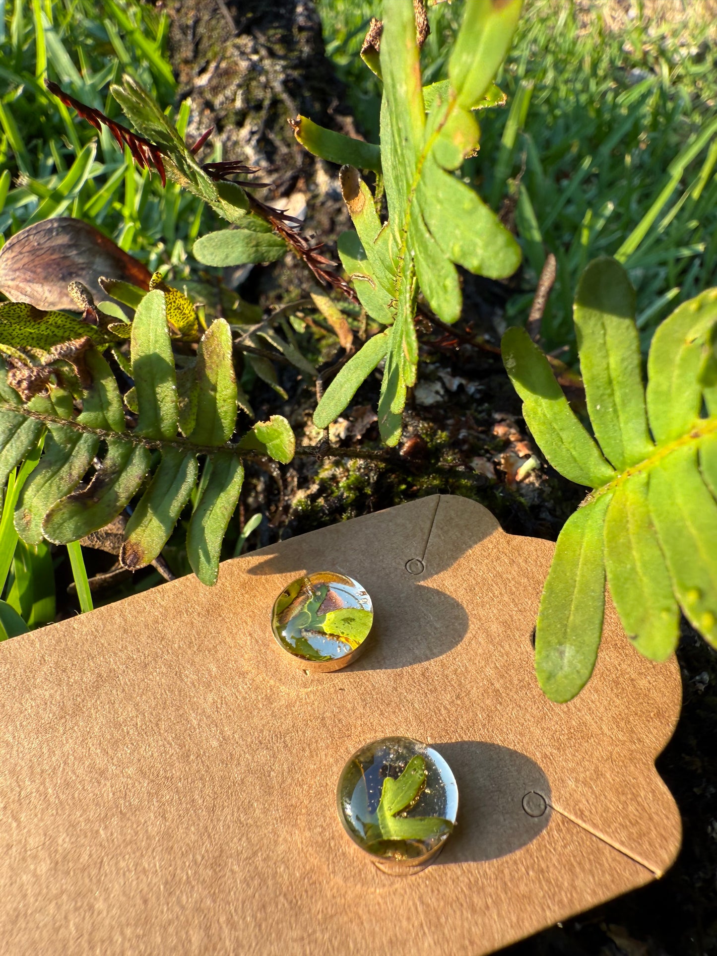 Resurrection Fern Studs