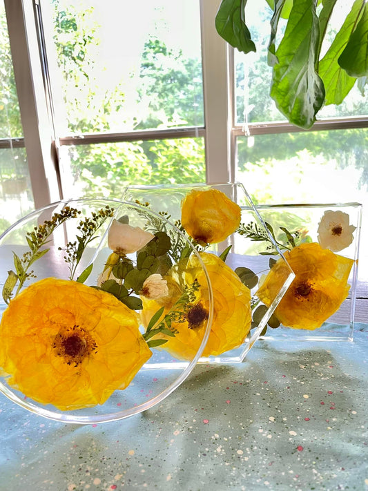 Pressed Floral Resin Display