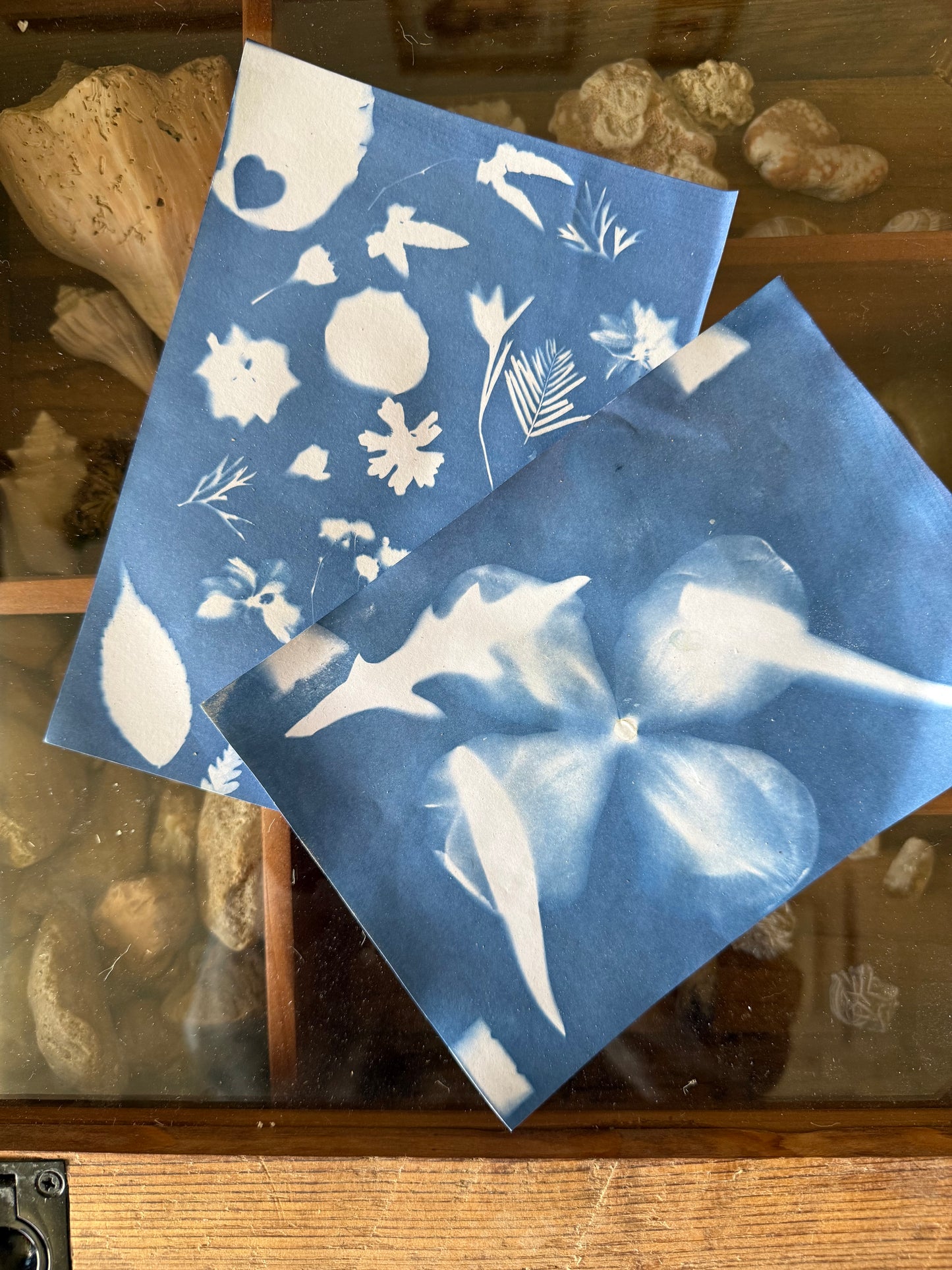 SEPTEMBER 12th - Chasing the Light, Cyanotype + Tea & Granola