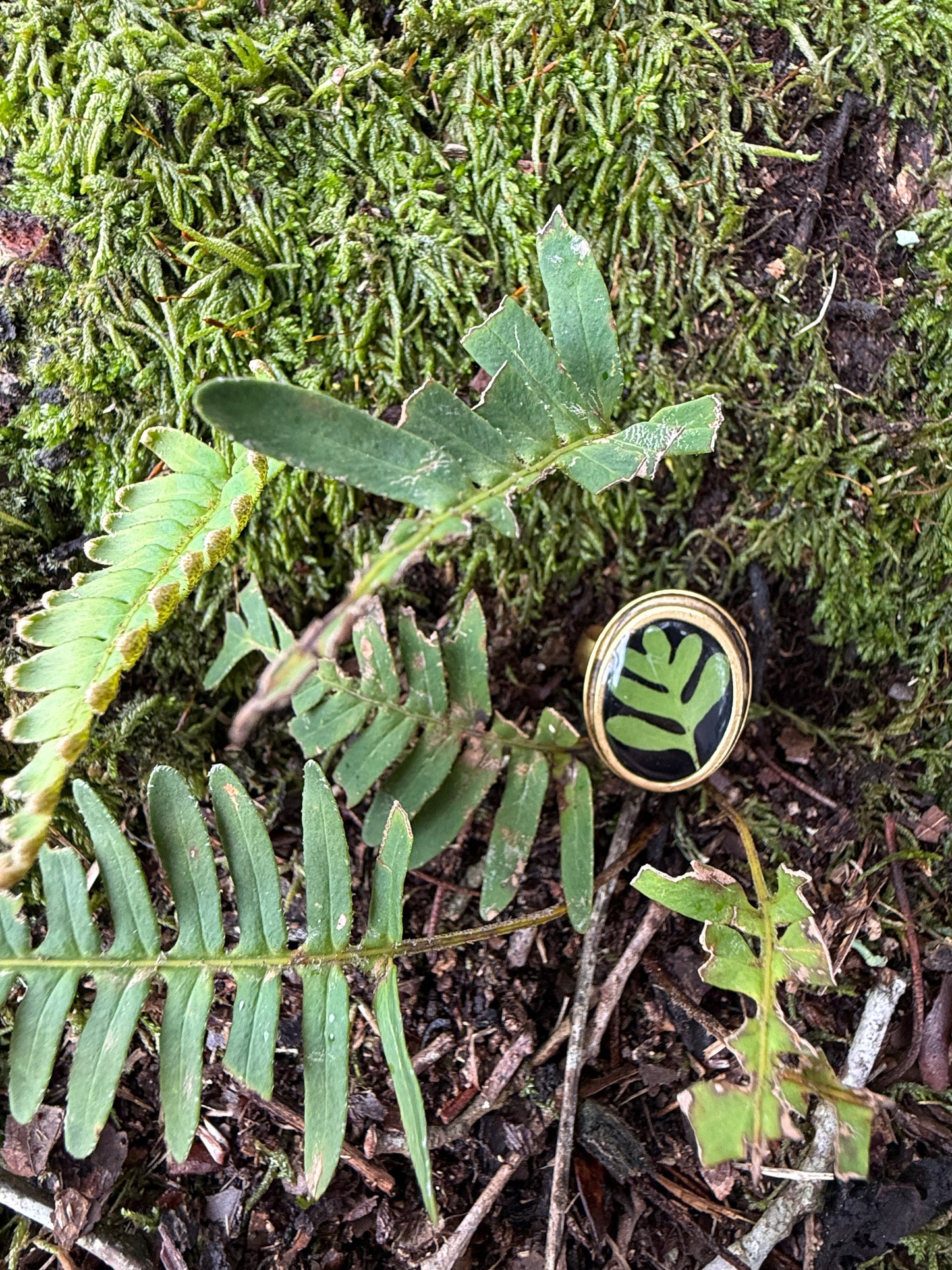 Resurrection Fern Ring, Oval