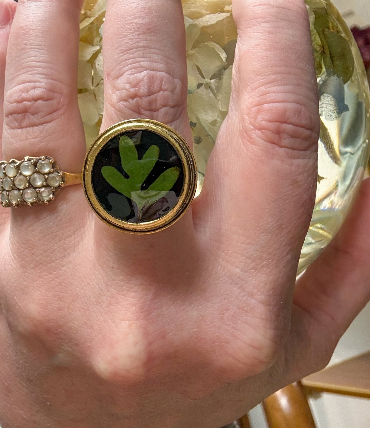 Round Resurrection Fern Ring