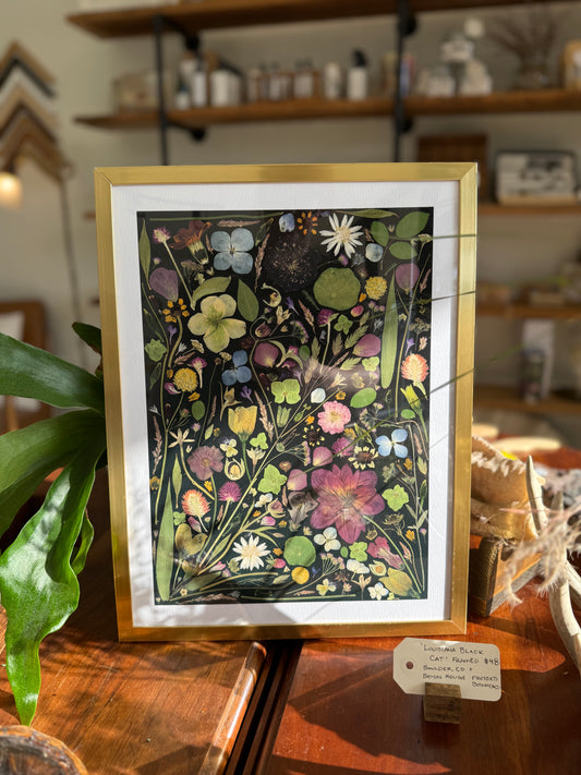 ‘Louisiana Black Cat’ framed print