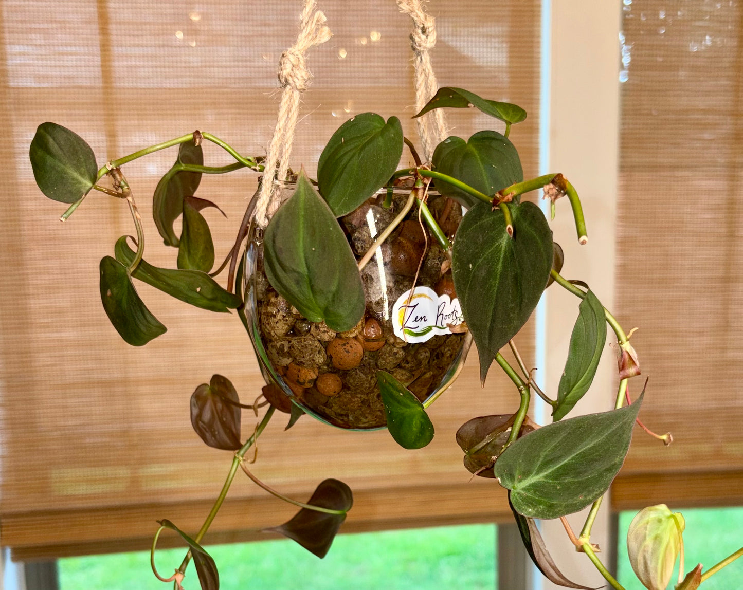 Plant Bingo Night Friday July 10, 2026 6:15 PM