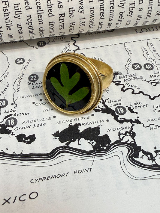 Round Resurrection Fern Ring