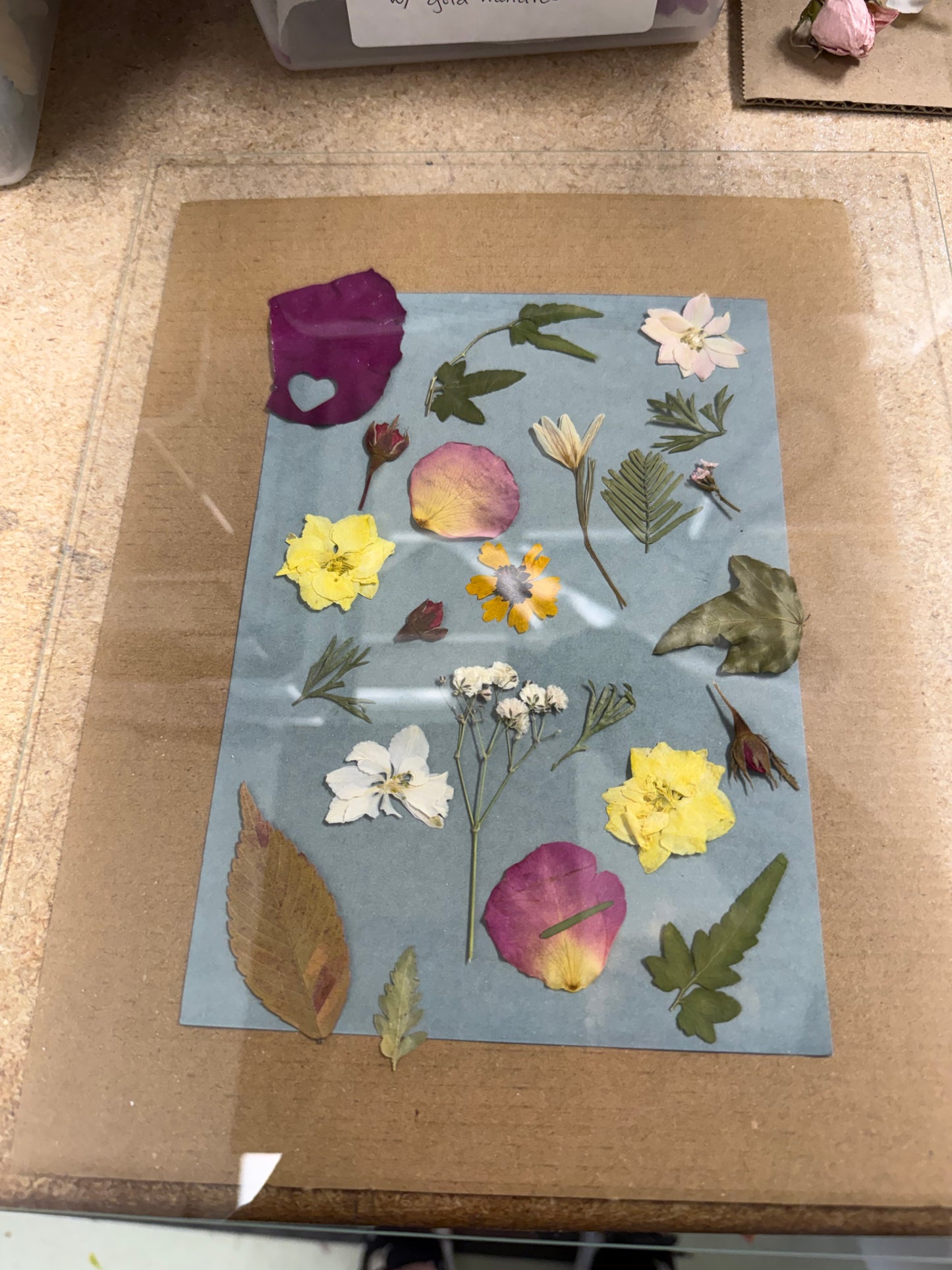 SEPTEMBER 12th - Chasing the Light, Cyanotype + Tea & Granola