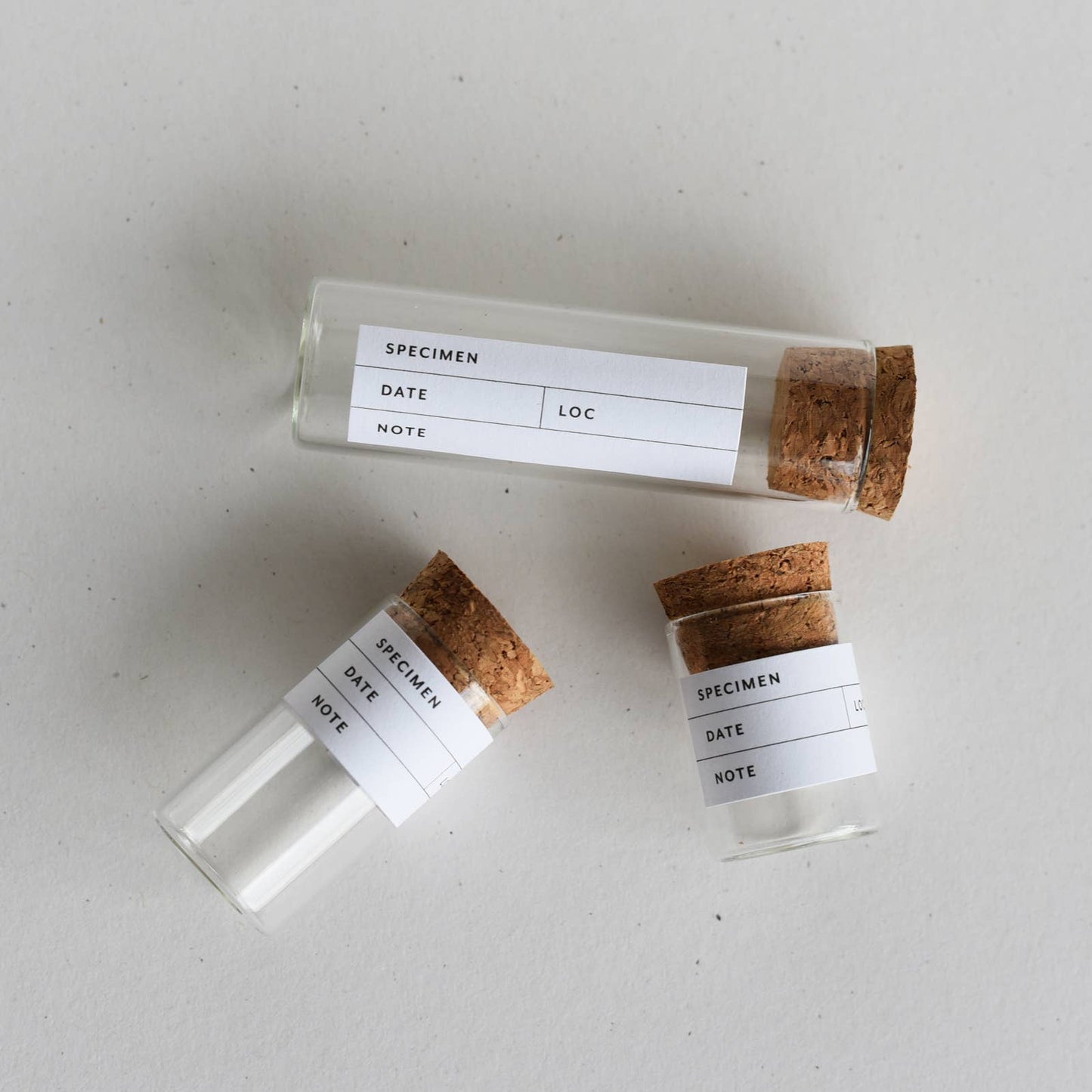 Botanical Specimen Labels / 36 labels