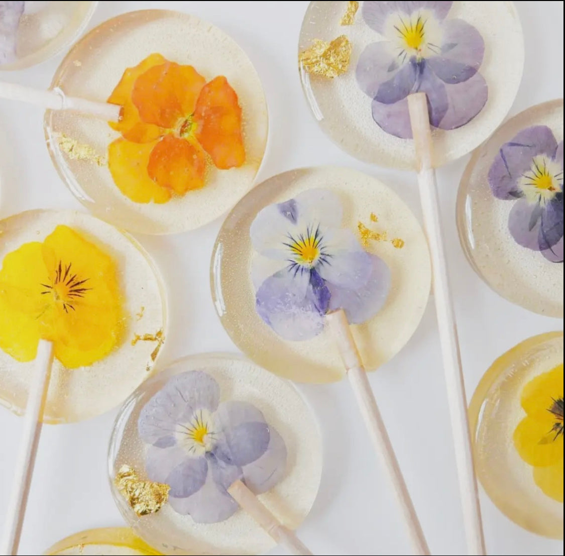 Elderberry Champagne Gourmet Lollipop with edible flower inside