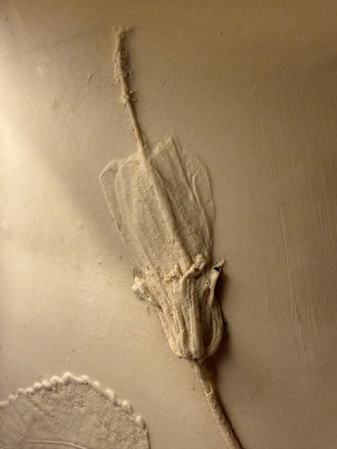 DECEMBER 4th - Botanical Bas-Relief Plate & Oyster Decoupage Ornaments