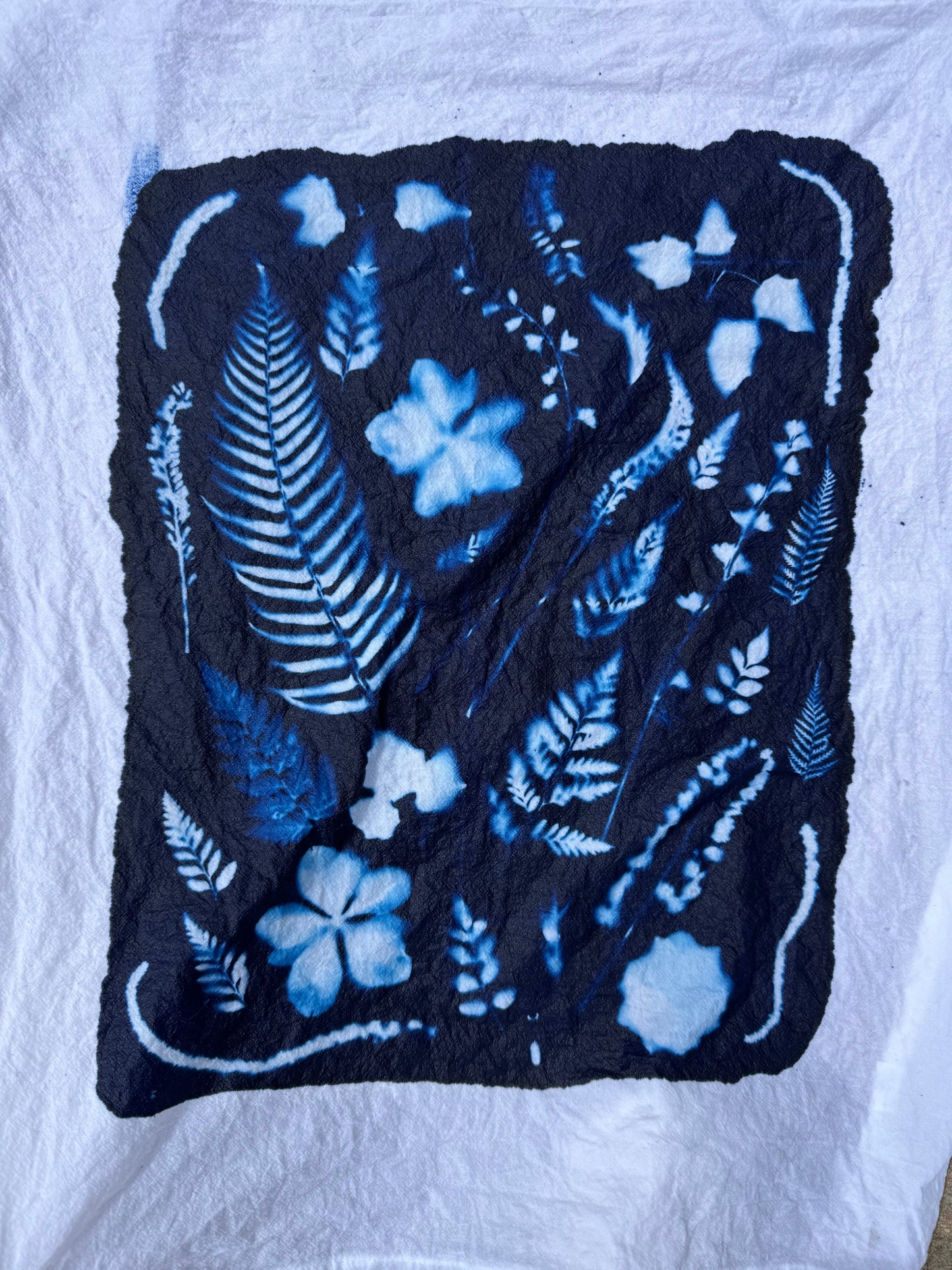 SEPTEMBER 12th - Chasing the Light, Cyanotype + Tea & Granola