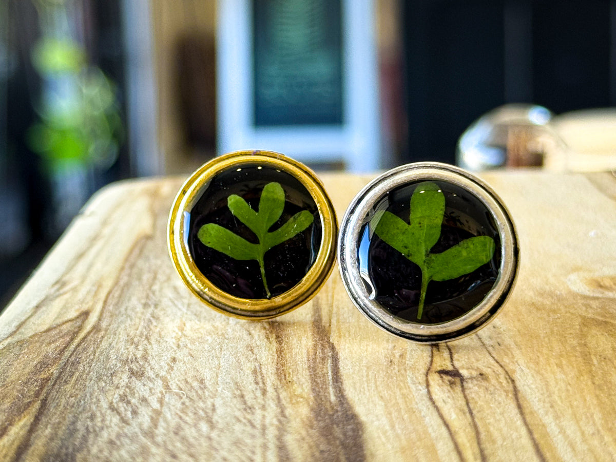 Resurrection Fern Ring, Round