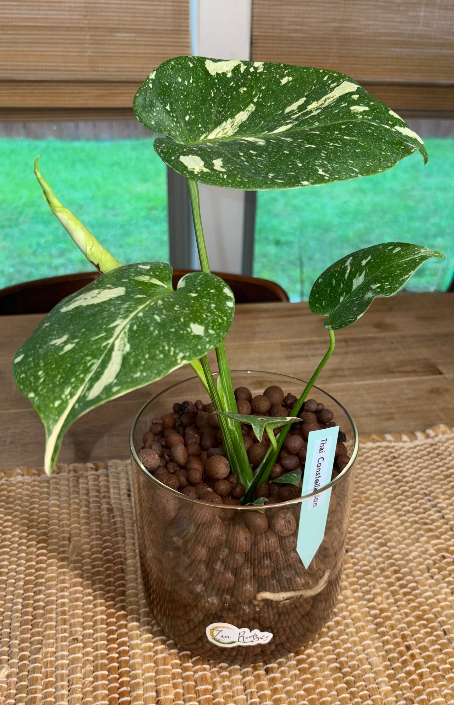 Plant Bingo Night Friday July 10, 2026 6:15 PM
