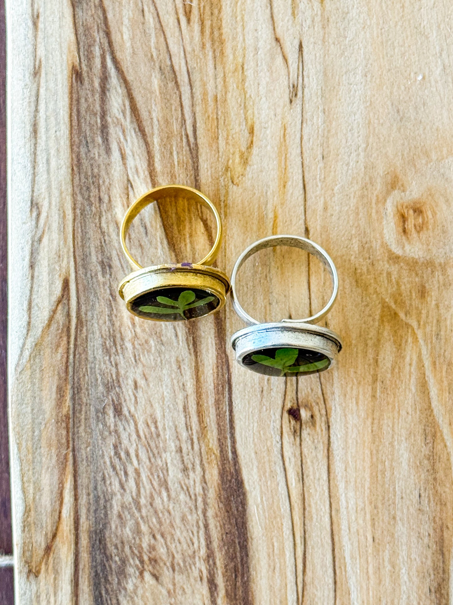 Resurrection Fern Ring, Round