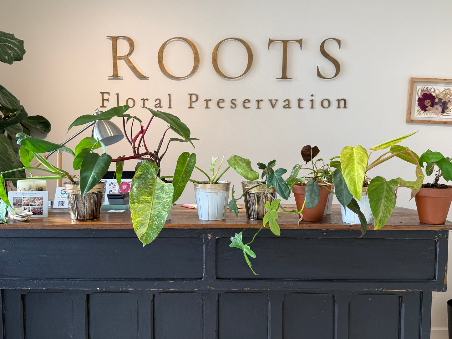 Plant Bingo Night Friday July 10, 2026 6:15 PM