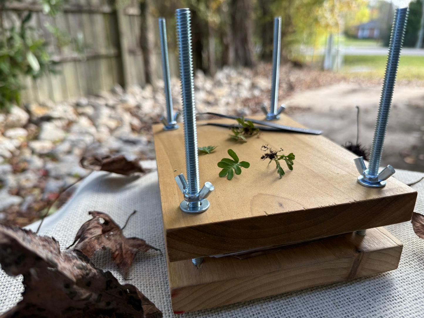 The Roots Specimen Mini Press