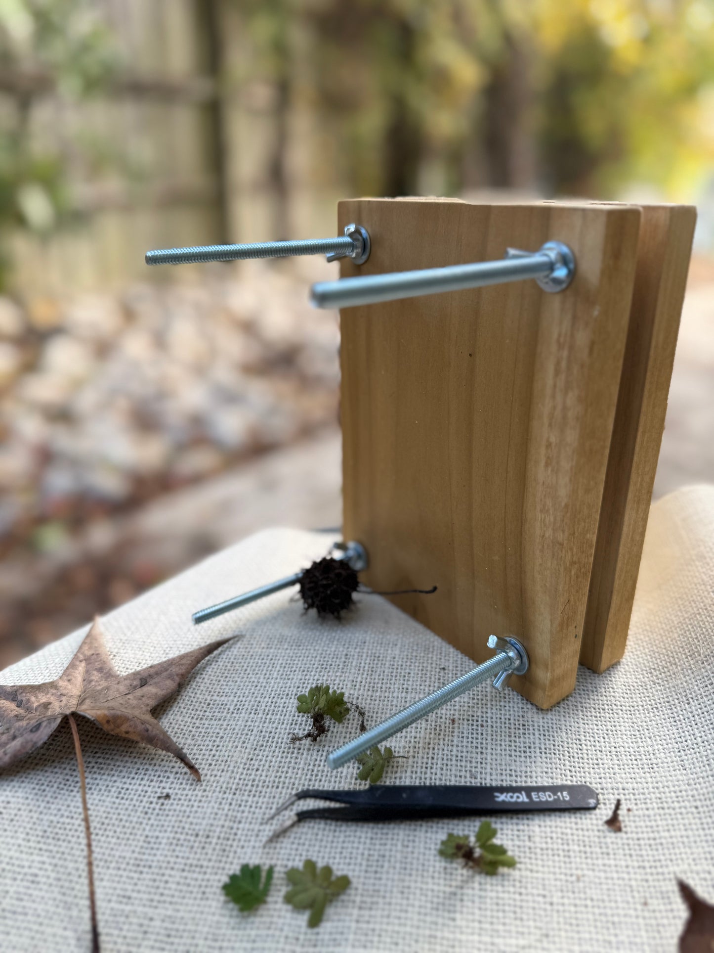 The Roots Specimen Mini Press