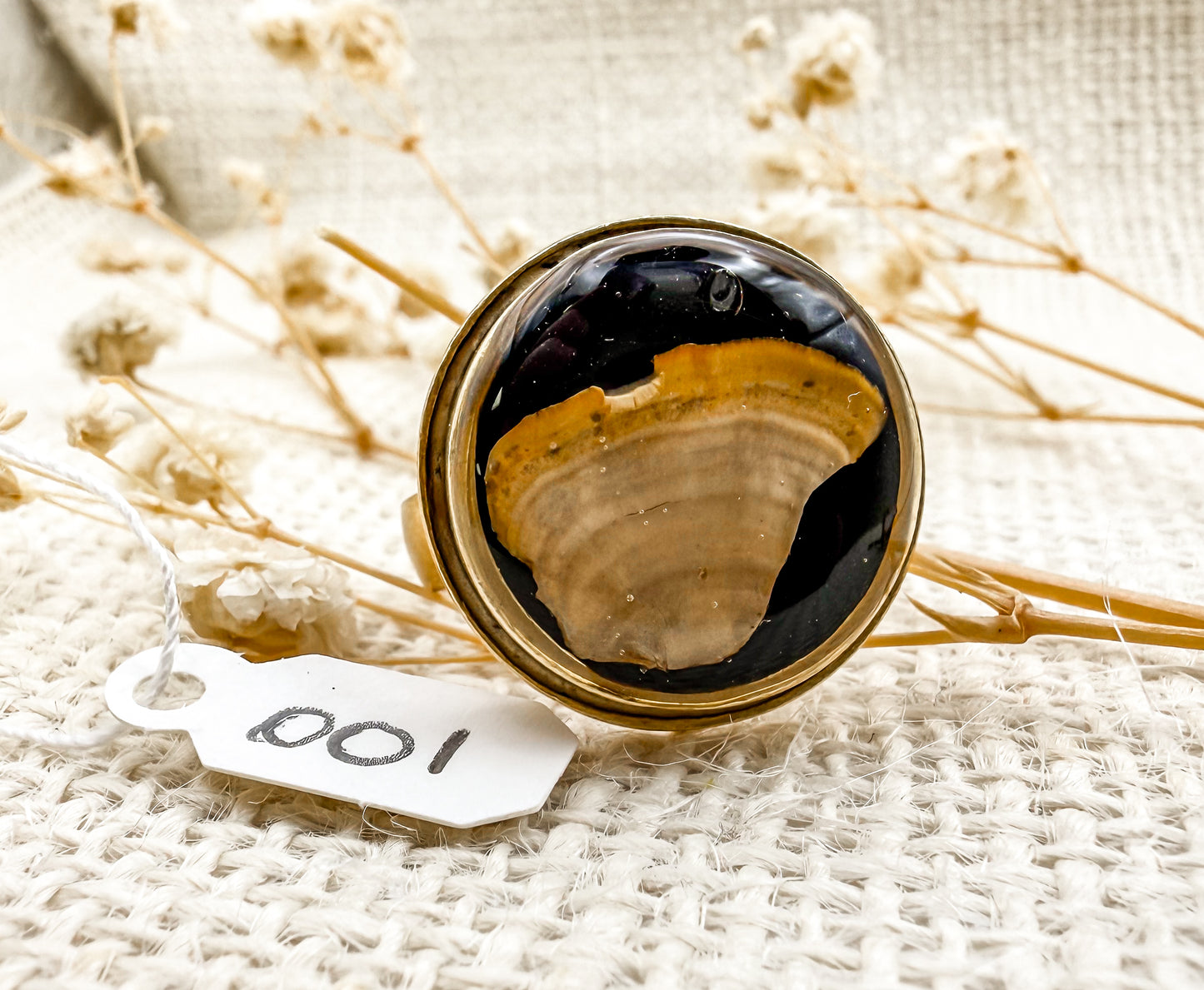 Fungus Ring, Round: Specimen 001