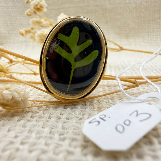 Fern Ring, Oval: Specimen 003