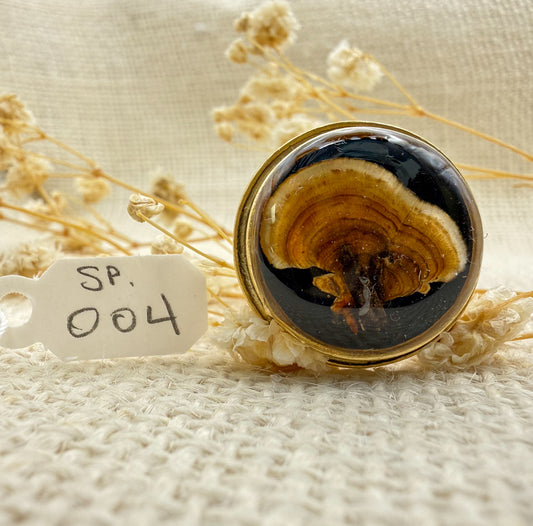 Fungus Ring, Round: Specimen 004