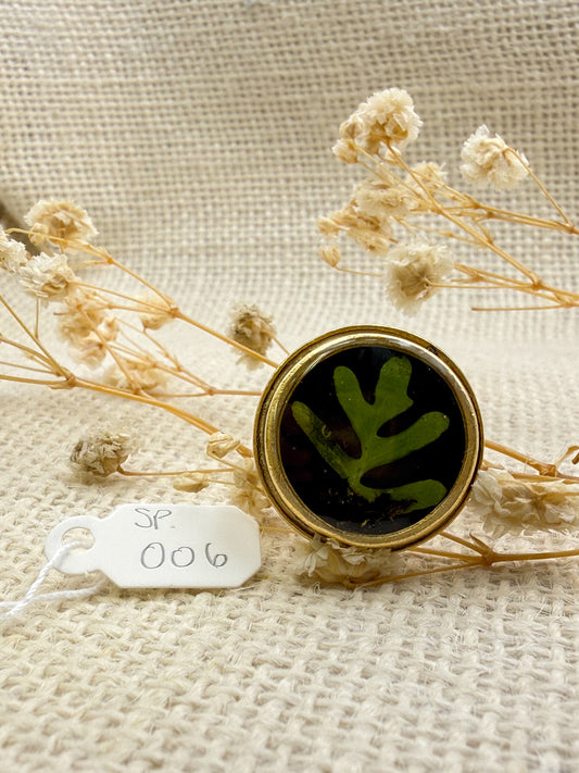 Fern Ring, Round: Specimen 006