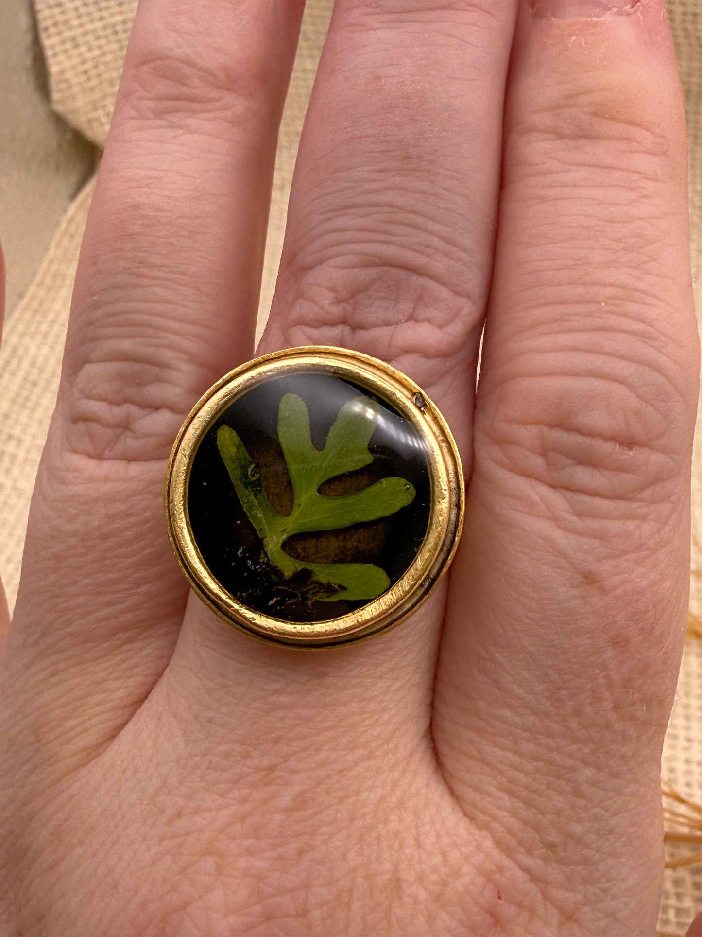 Fern Ring, Round: Specimen 006