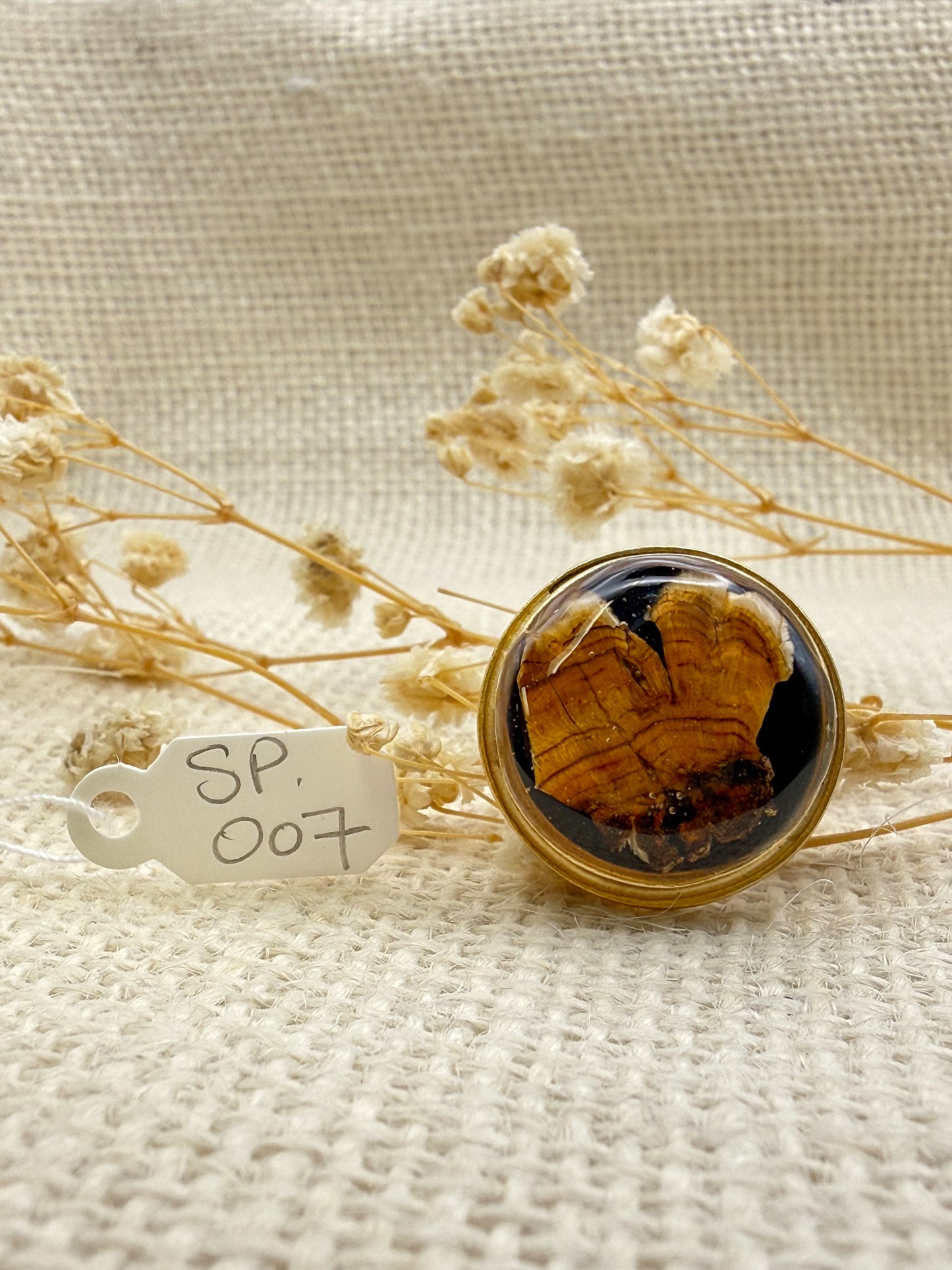 Fungus Ring, Round: Specimen 007