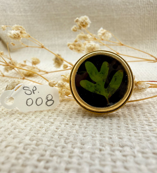 Fern Ring, Round: Specimen 008