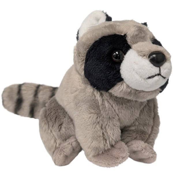 Canned Jimothy the Short Spined Raccoon Seattle Viral Hit