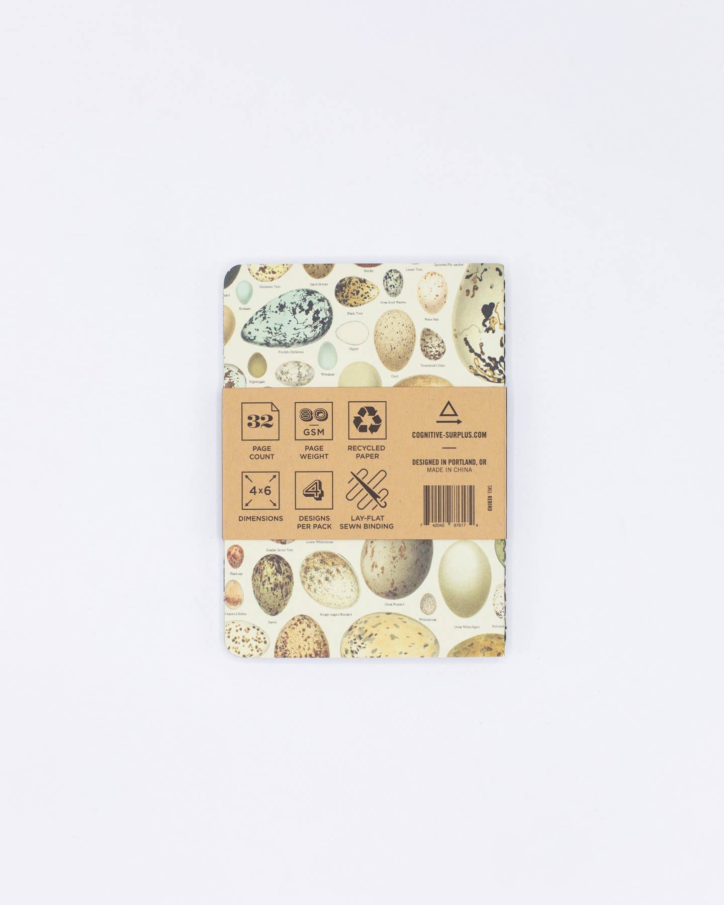 Birds: Ornithology Pocket Notebook 4-pack (Case of 6)