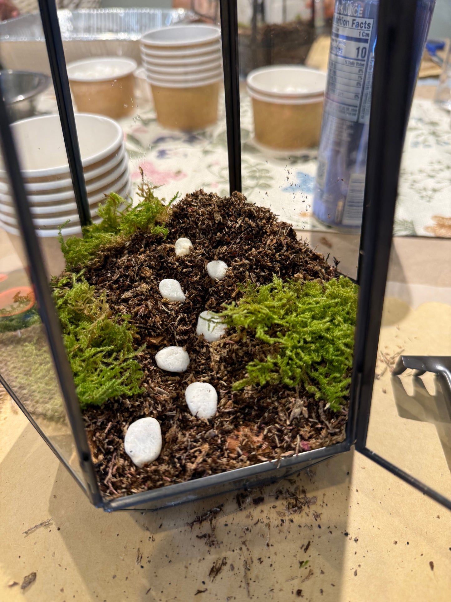 OCTOBER 8th (Thursday) - The Bone Garden, Terrarium Class