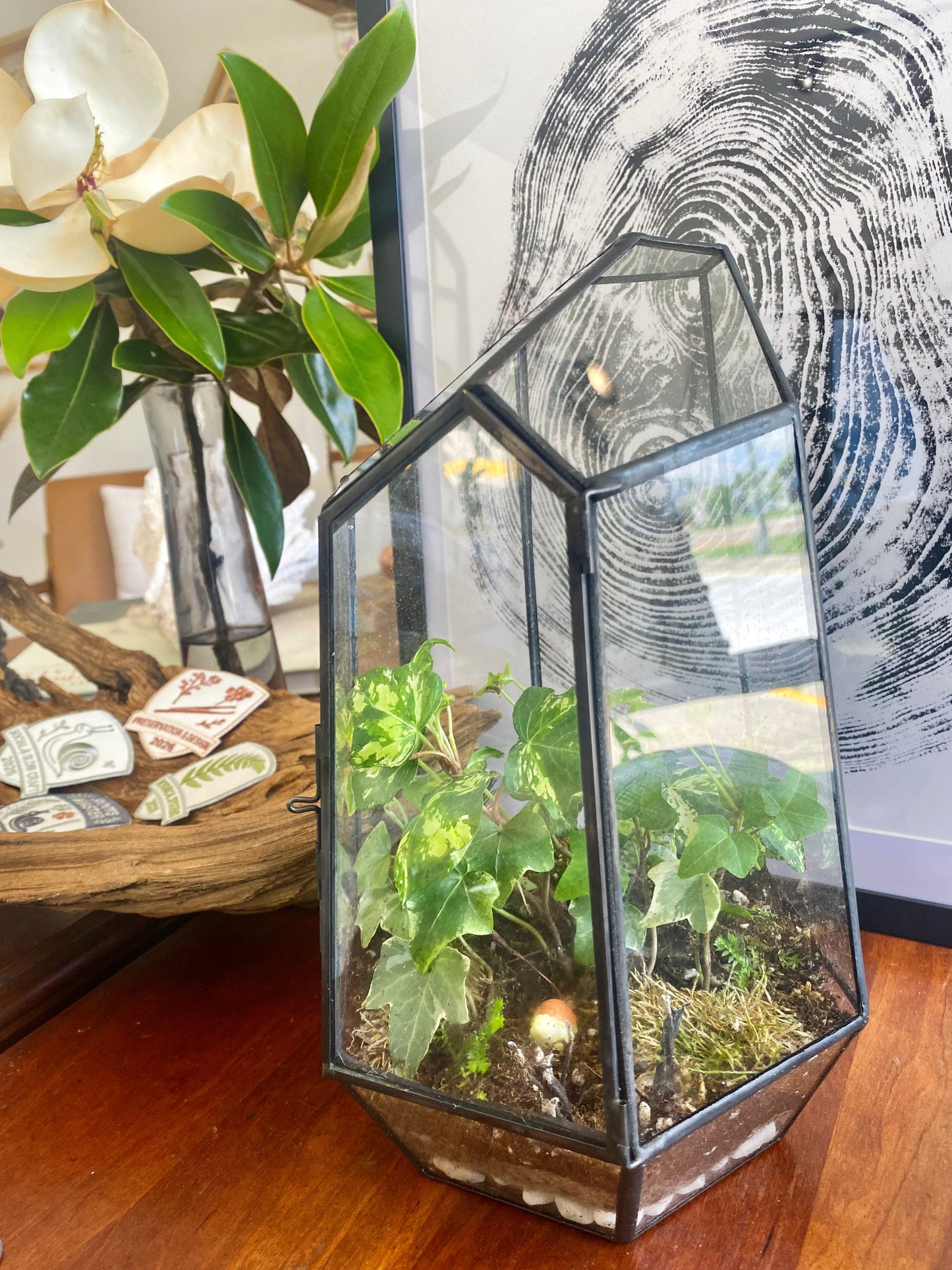 OCTOBER 8th (Thursday) - The Bone Garden, Terrarium Class