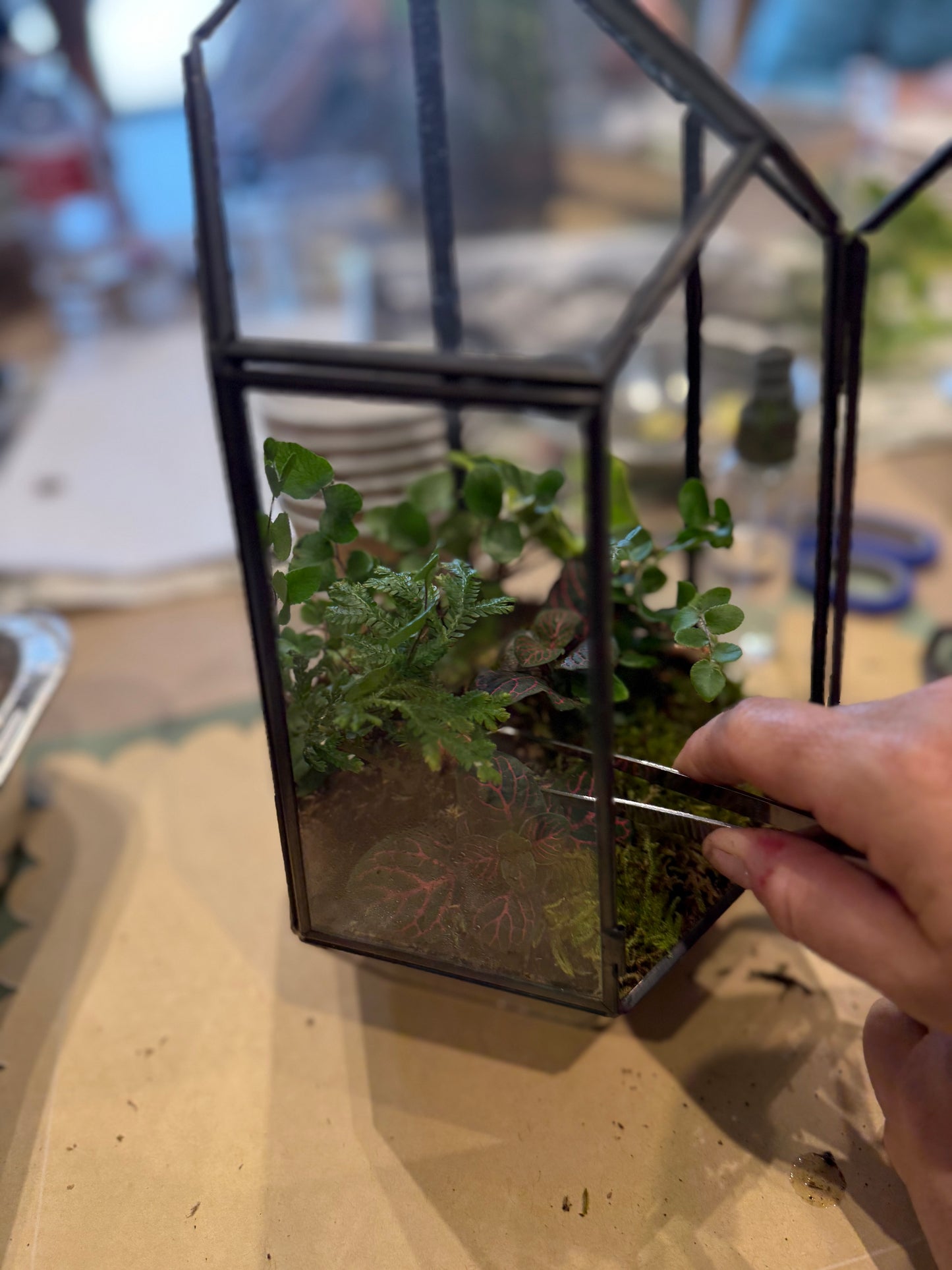 OCTOBER 8th (Thursday) - The Bone Garden, Terrarium Class