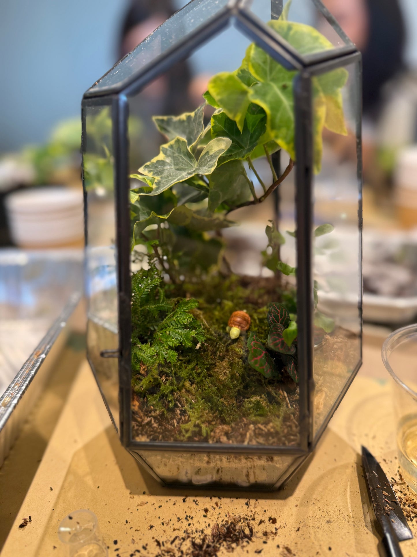 OCTOBER 8th (Thursday) - The Bone Garden, Terrarium Class